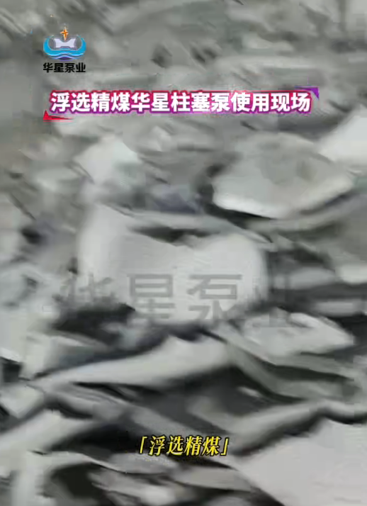 華星柱塞泵浮選精煤客戶展示